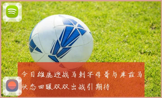 今日雄鹿迎战马刺字母哥与库兹马状态回暖双双出战引期待